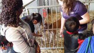 Animal Farm Tour
